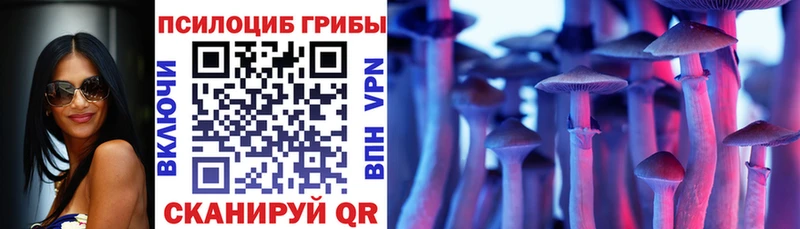 Псилоцибиновые грибы Psilocybe мега как войти Дегтярск